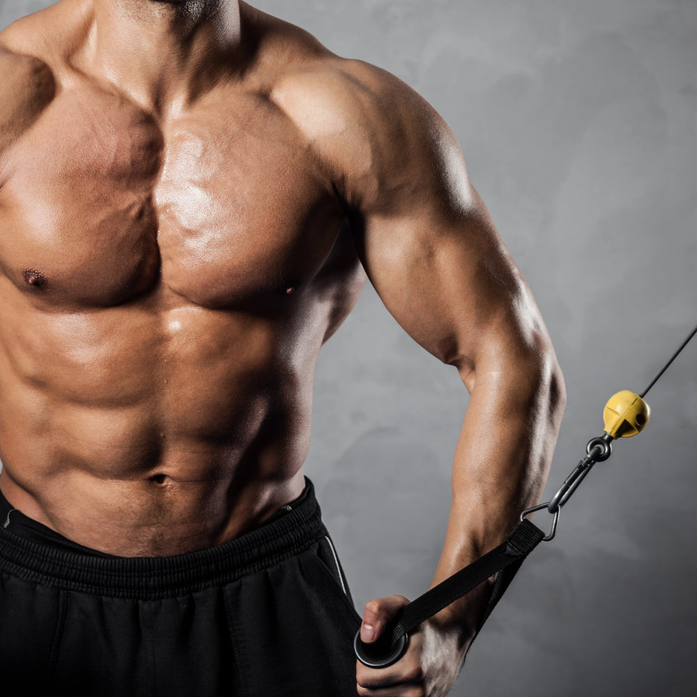 Agmatine vs. Arginine: Which Nitric Oxide Booster is Best for Vascularity and Endurance?
