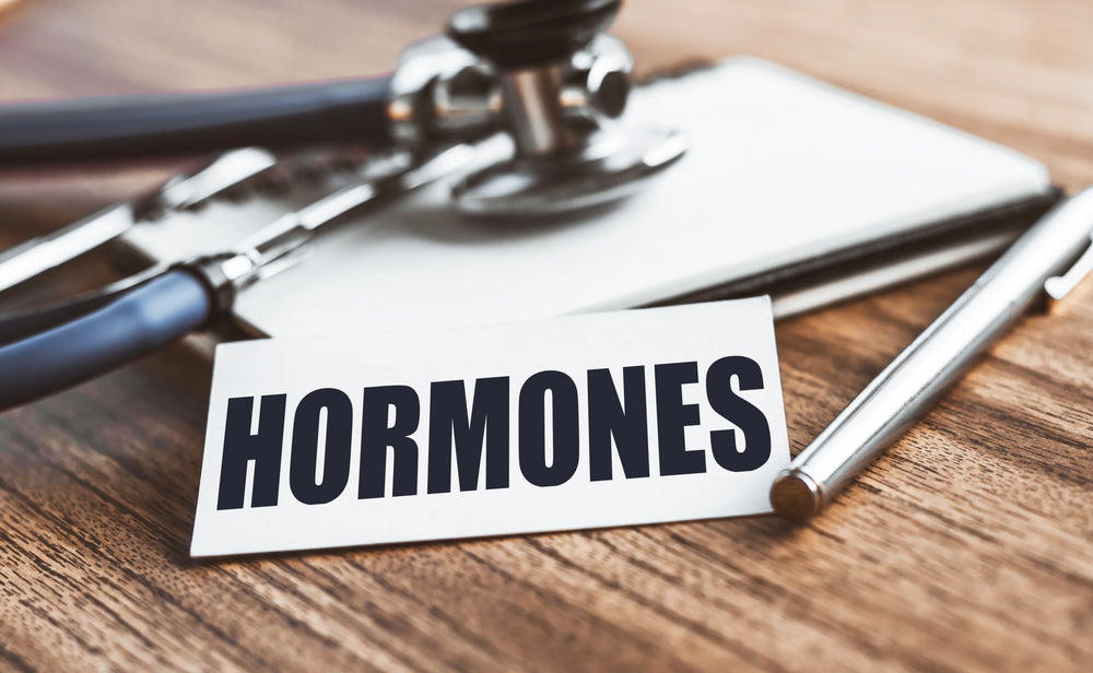 Finding Your Balance: How TRT Support Ingredients Promote Hormonal Harmony