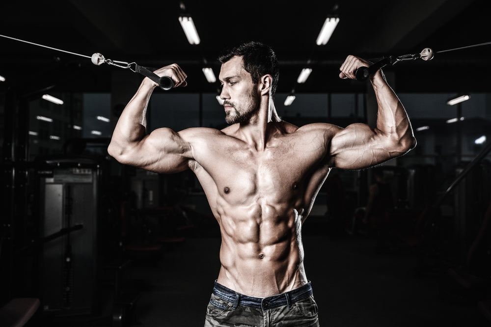 How DHEA Can Support Lean Muscle Mass