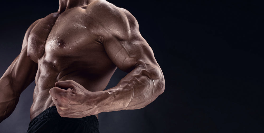 How Long Does It Take for Nitric Oxide to Lower Blood Pressure?