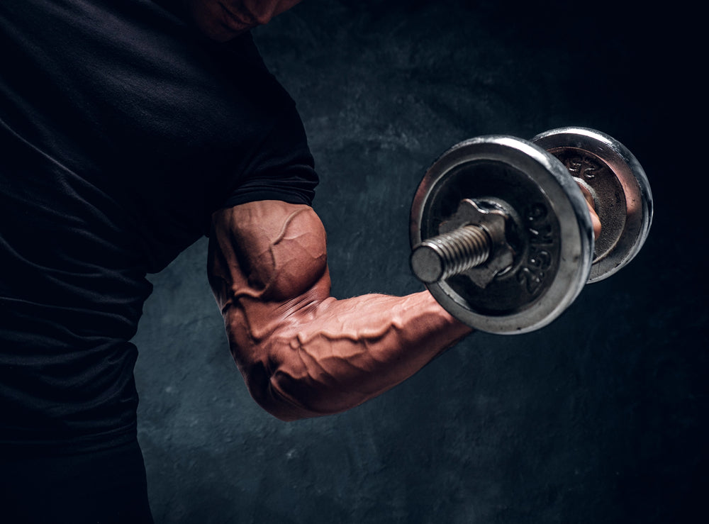 Macros vs. Micronutrients: What’s the Difference and Why Both Matter