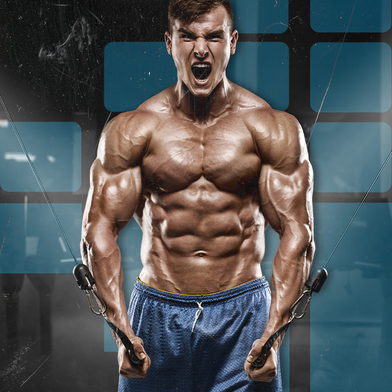 How Velositol Can Help You Build More Muscle