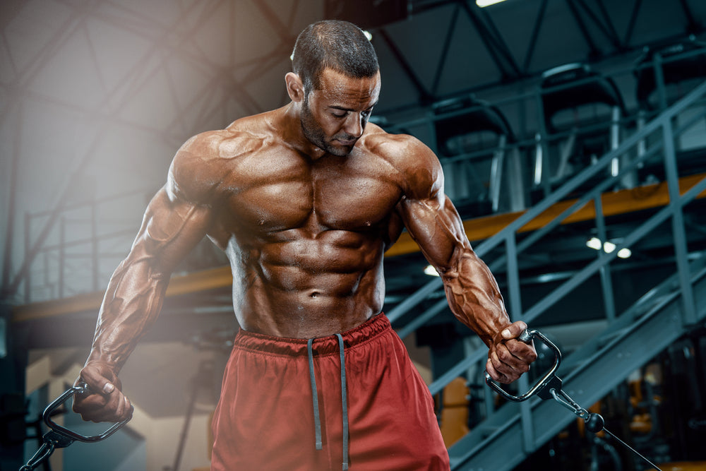 MRI Performance NO2: Building Muscle Round the Clock