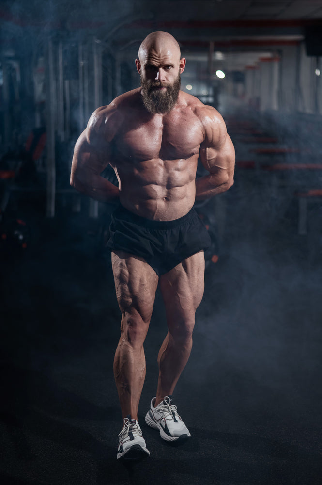 The Pinnacle of Protein Supplementation