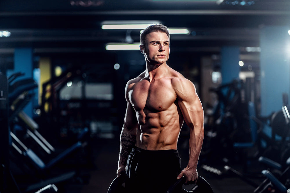 Smart Cutting Protocol: Supporting a Calorie Deficit with Ultra Whey and DHEA