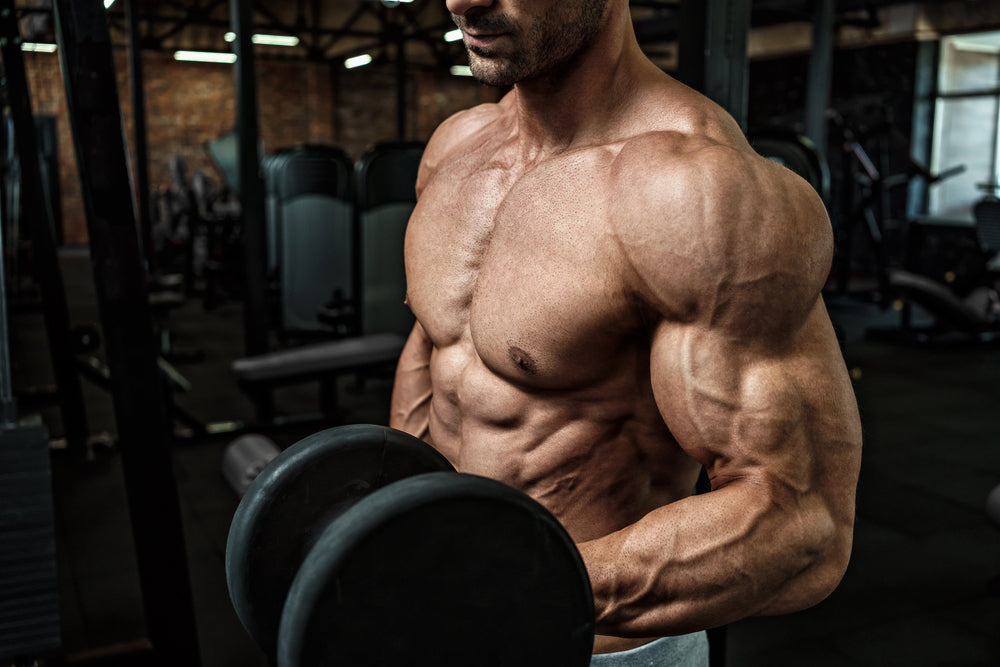 The Role of Body Fat in Vascularity: Why Leaner Equals More Veins