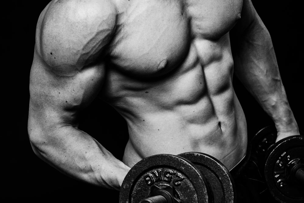 The Role of Testosterone Support in Muscle Development