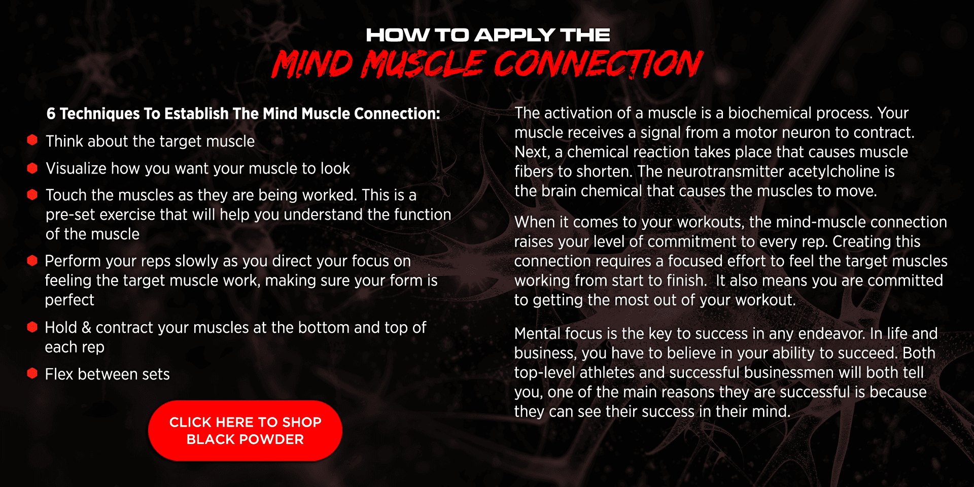 how to apply mind muscle connection